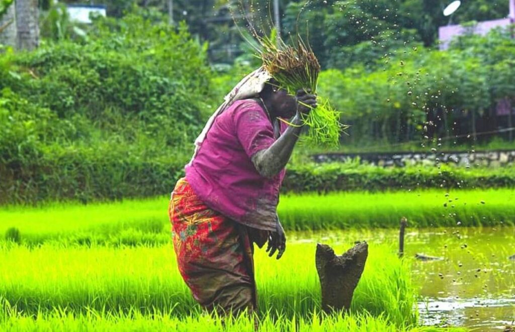 Can Centre’s Agriculture Reforms Positively Impact Farmers? Experts Have Their Say