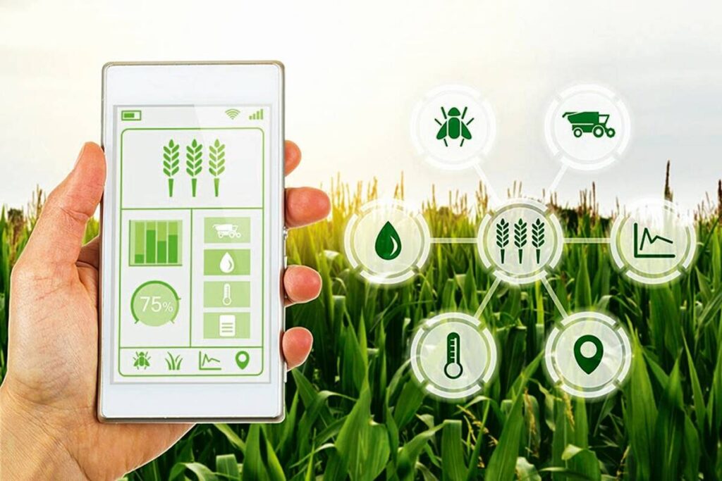 Bumper Harvests: Blockchain can benefit the agricultural ecosystem