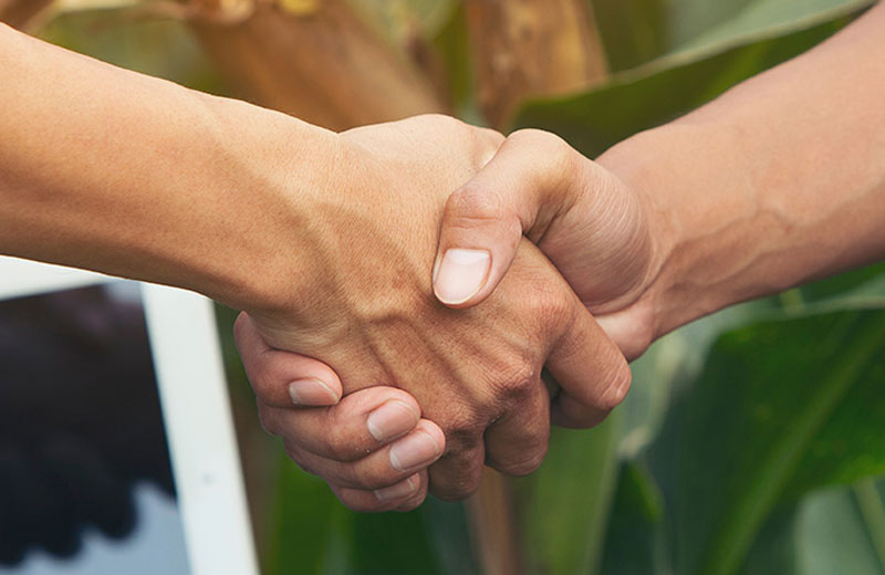 Synchrony inks MoA with UoH for agri project