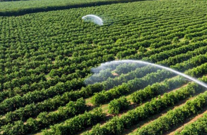 Samunnati, SatSure sign MoU to enable farm monitoring of loanee farmers to mitigate risk