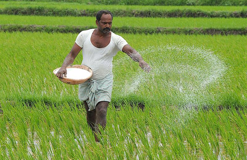 Why FPOs need innovation to usher change in India’s agricultural landscape
